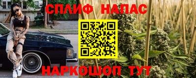 молекула духа Ставрополь