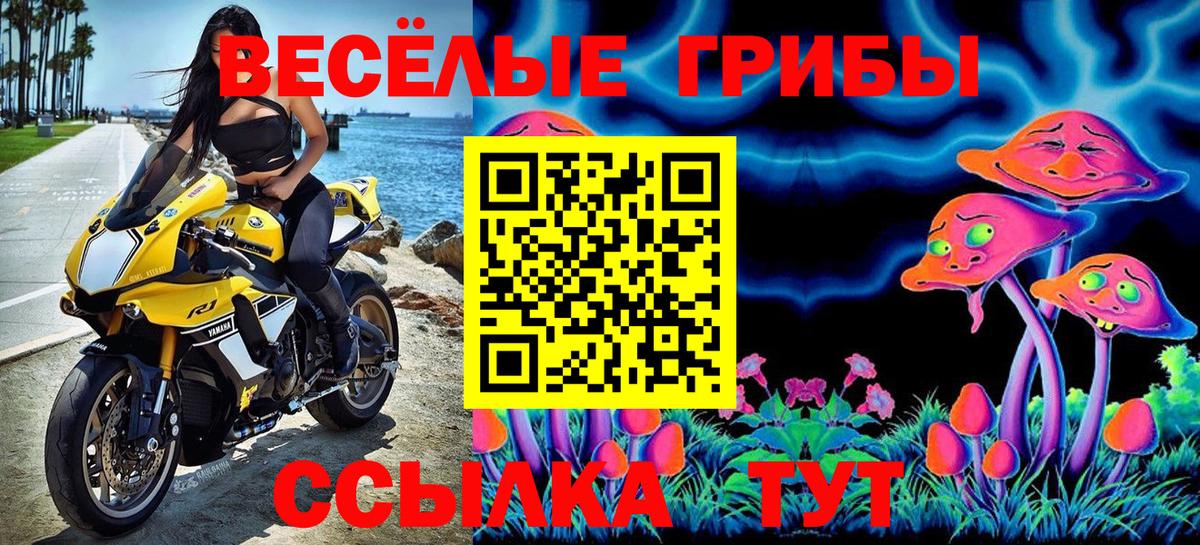 Псилоцибиновые грибы Cubensis  Вход с VPN  Ахтубинск 