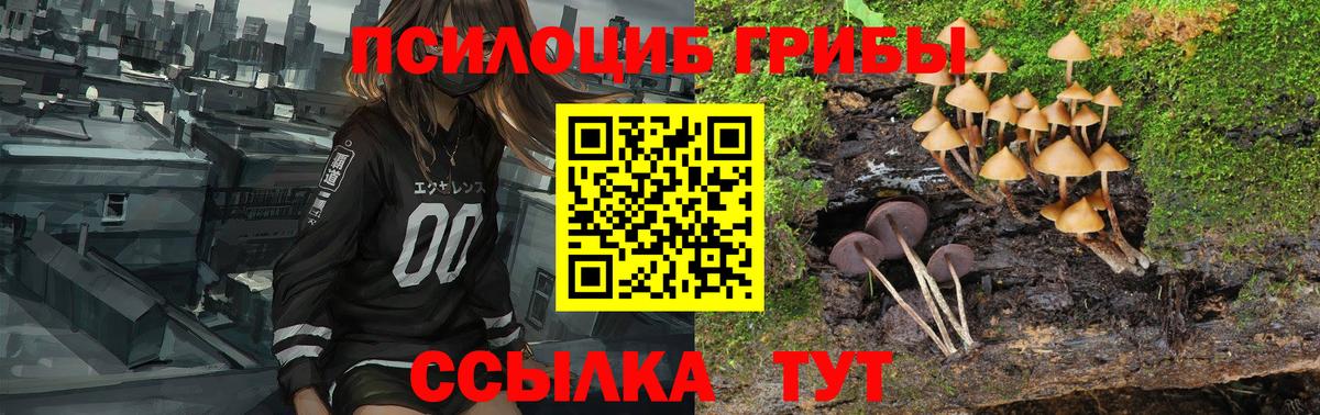 Псилоцибиновые грибы мухоморы Ахтубинск
