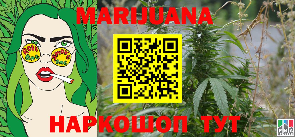 Канабис сатива Ахтубинск