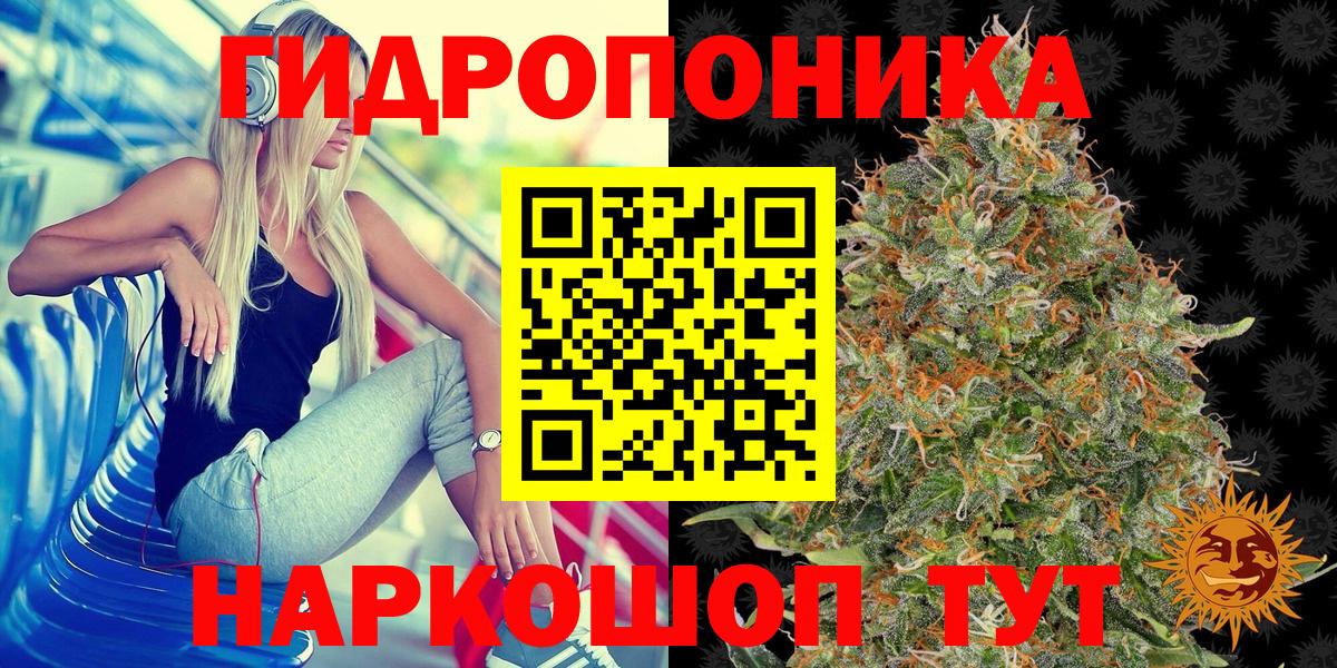 Бошки марихуана тримм  Бошки марихуана Amnesia  Ахтубинск  Канабис семена  Бошки Шишки марихуана  Вход с VPN 